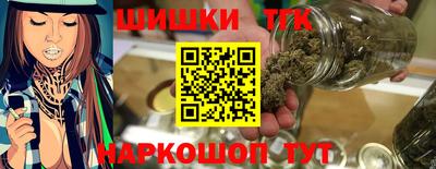 сатива Новодвинск