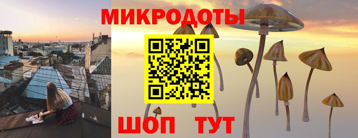 где продают наркотики  Вход с VPN  Таганрог  Галлюциногенные грибы Psilocybe 